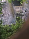 EDE92736-92FC-43C2-A2EC-22369A99928A.jpeg