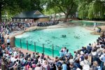 ZSL-London-Zoo-Visitors_at_Penguin_Beach_ZSL_London_Zoo_c_ZSL.jpg