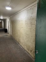 IMG_1069.jpeg