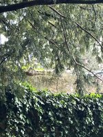 IMG_5552.jpeg
