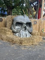 IMG_2904.jpeg