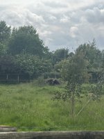 IMG_5610.jpeg