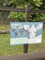 IMG_5630.jpeg