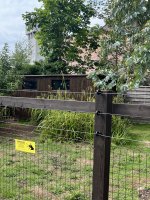 IMG_5631.jpeg