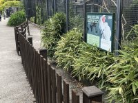 IMG_5619.jpeg