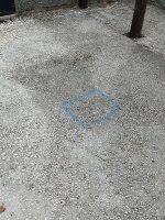 IMG_5620.jpeg