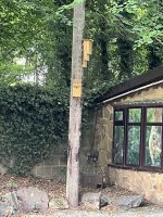 IMG_5617.jpeg