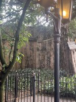 IMG_5684.jpeg