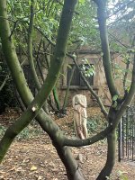 IMG_5685.jpeg