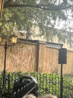IMG_5686.jpeg