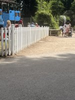 IMG_5679.jpeg