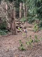 IMG_5681.jpeg