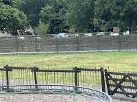 IMG_5701.jpeg