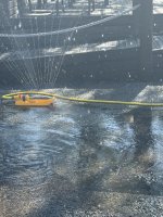 IMG_1995.jpeg