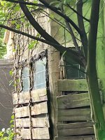IMG_5756.jpeg