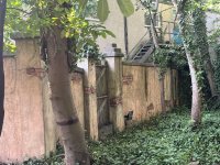 IMG_5796.jpeg