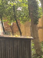 IMG_5797.jpeg