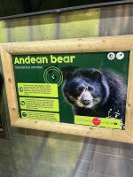 IMG_5792.jpeg