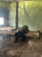 IMG_5793.jpeg