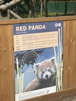 IMG_5788.jpeg
