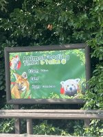 IMG_5787.jpeg