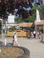 IMG_5782.jpeg