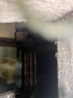 IMG_5803.jpeg