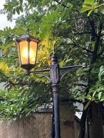 IMG_5870.jpeg