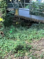 IMG_5900.jpeg