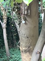 IMG_5901.jpeg