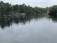 IMG_5943.jpeg