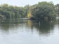 IMG_5944.jpeg