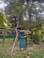 IMG_5954.jpeg IMG_5954.jpeg