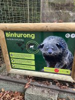 IMG_5957.jpeg