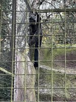 IMG_5956.jpeg