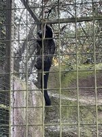IMG_5955.jpeg