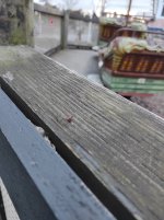 1762638467328.jpg 1762638467328.jpg