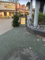 IMG_6060.jpeg IMG_6060.jpeg