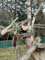 IMG_6048.jpeg IMG_6048.jpeg