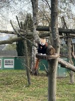 IMG_6051.jpeg IMG_6051.jpeg