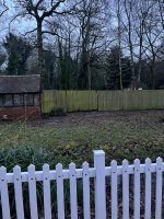 IMG_6167.jpeg IMG_6167.jpeg