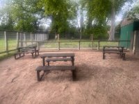 IMG_6508.jpeg