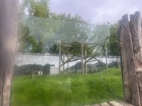 IMG_6511.jpeg
