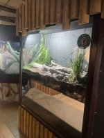 IMG_6565.jpeg