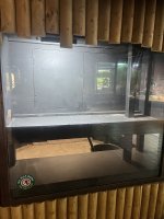 IMG_6566.jpeg