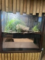 IMG_6567.jpeg