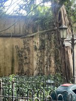 IMG_6633.jpeg