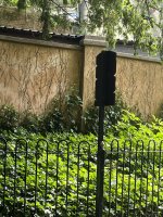 IMG_6634.jpeg