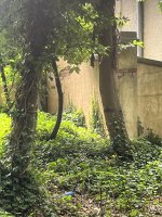 IMG_6635.jpeg