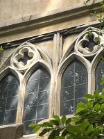 IMG_6639.jpeg
